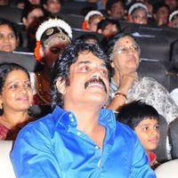 Nagarjuna Akkineni - Telugu Stars at 17th International Childrens Film Festival | Picture 124589